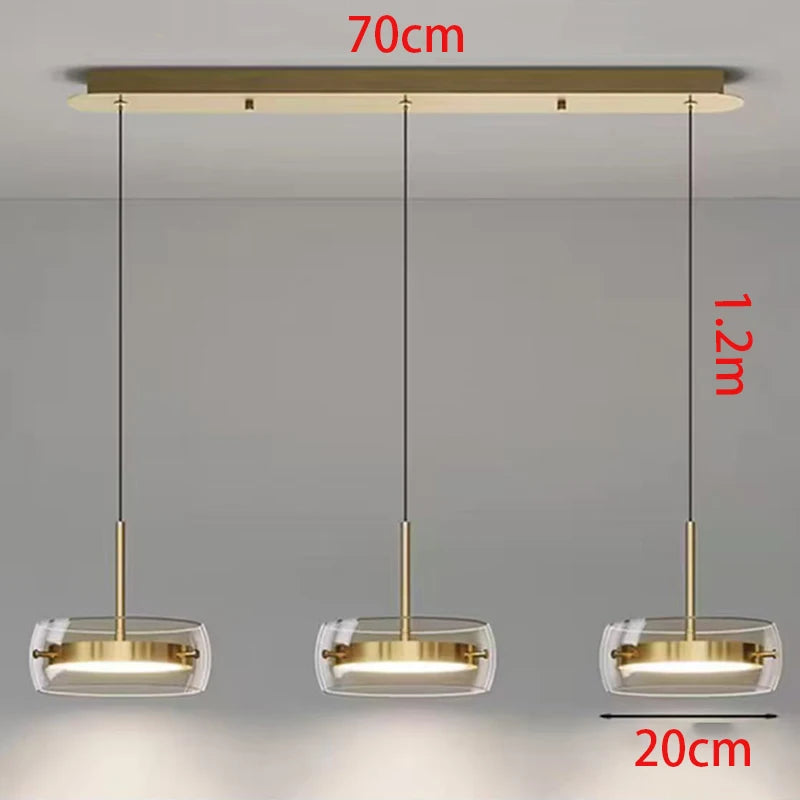 Modern home decor led lights pendant light lamps for living room Chandeliers for dining room hanging light indoor lighting