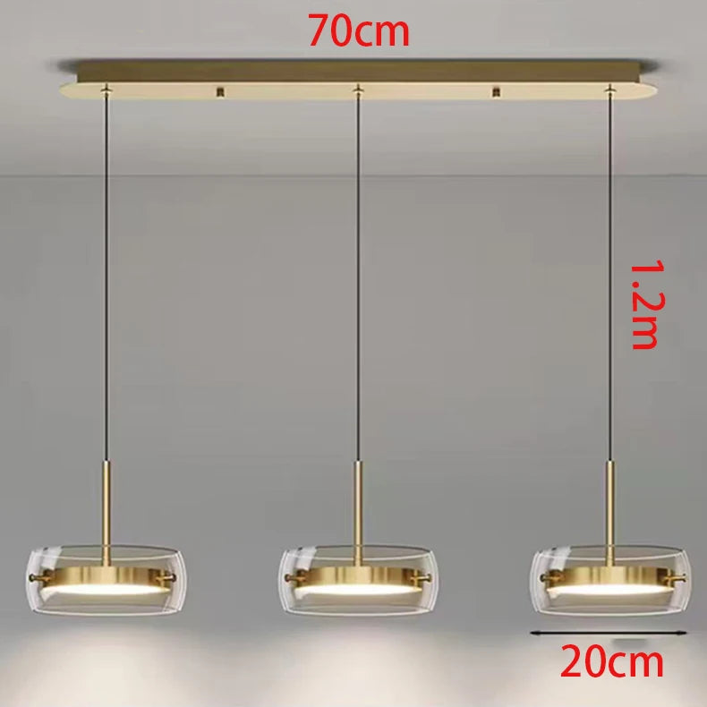Modern home decor led lights pendant light lamps for living room Chandeliers for dining room hanging light indoor lighting